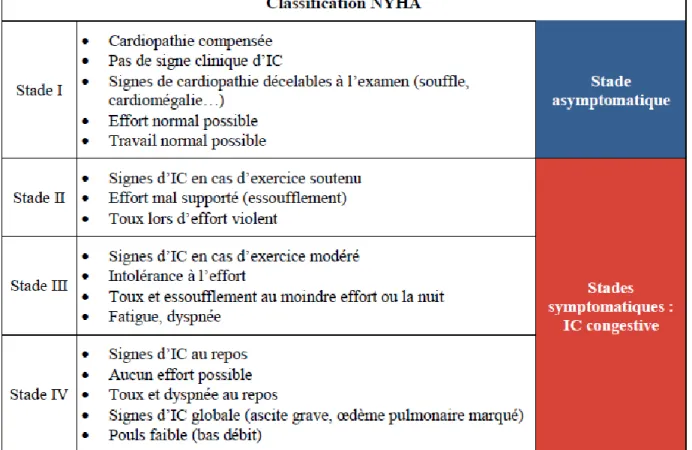 Figure 6 : Classification NYHA, comportant les 4 stades cliniques 