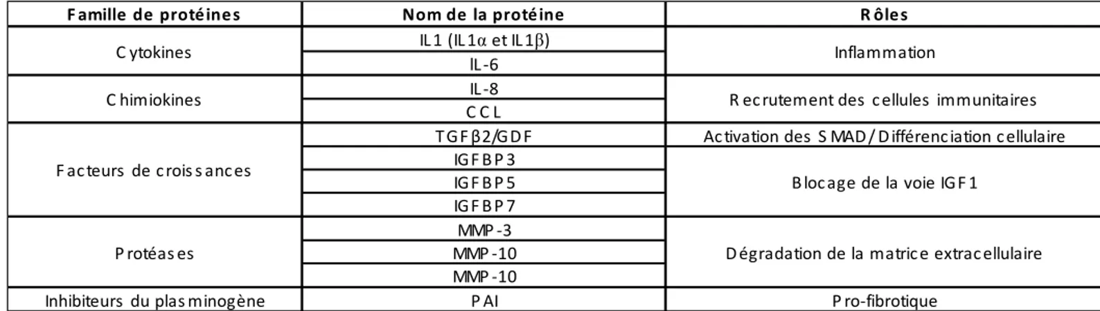 Tableau  1.  Bilan  des  principales  protéines  du  SASP  (adapté  d’après  Kuilman  and  Peeper,  2009  et  Coppé et al., 2010) 