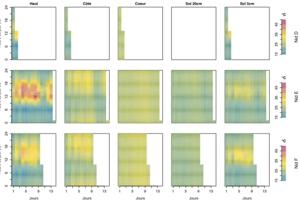 Figure 2.7 – Données brutes rasterisées pour C. cumulans. L’amplitude des température est indiquée par l’échelle de couleur.