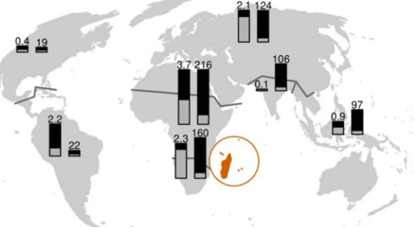 Figure II.4. Affinities of the Madagascan grass flora with other  biogeographic regions