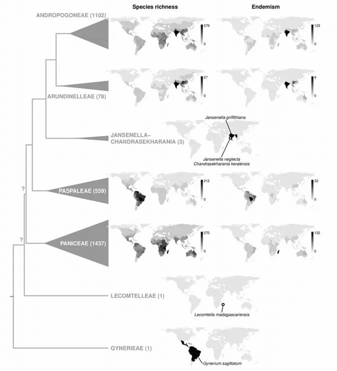 Fig. III.4: Distribution and endemism of major lineages in the core Panicoideae. Shown are species numbers and  numbers of endemics per TDWG level 3 botanical region, extracted from the World Catalogue of Selected Plant  Families (Clayton et al