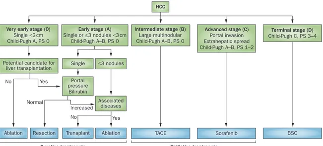 Figure	 3	 :	 Système	 de	 stadification	 Barcelona	 Clinic	 Liver	 Cancer	 [10] 	 (Figure	 extraite	 de	 la	