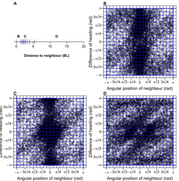 Figure 3.5: Discretisation of the space S n (d, ψ, ∆φ) used to sample reactions of several fish in