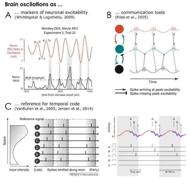 Figure 1-3. Illustration of a few functions in which oscillations have been involved. A