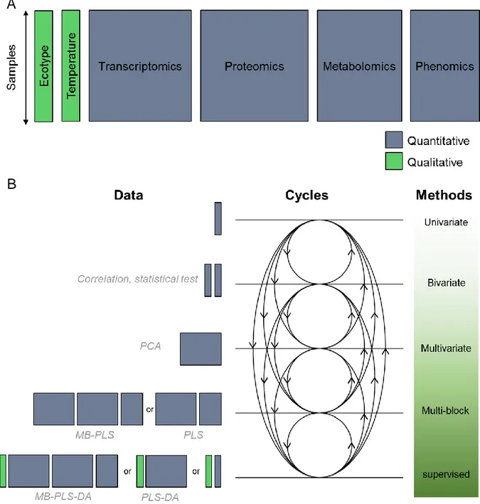 Figure 14 : Schéma des méthodes statistiques d’analyses de données. A) Structure et nature 