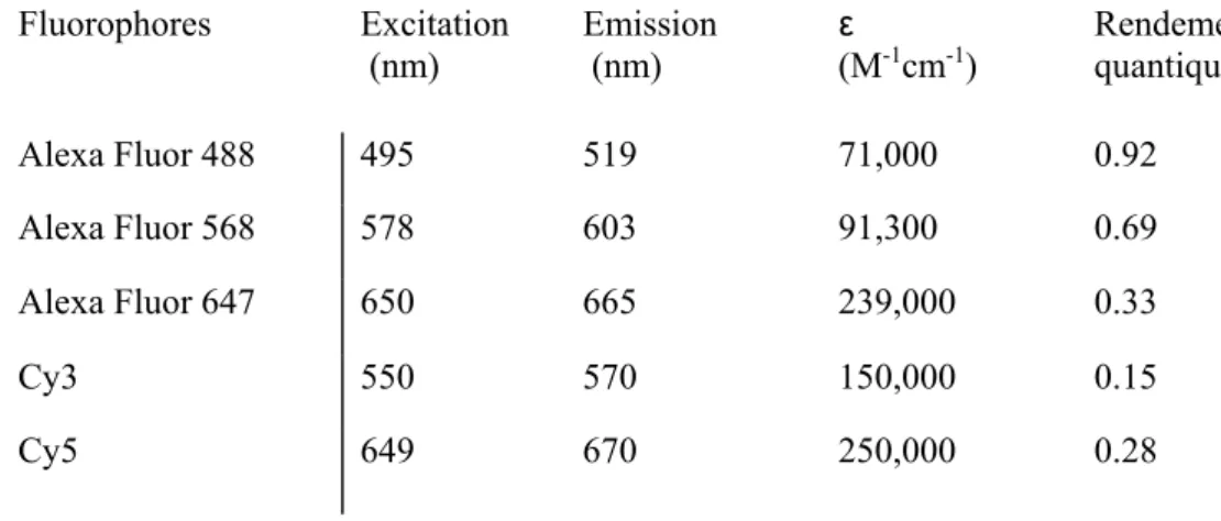 Tableau 1: Propriétés de fluorescence de certaines molécules de la famille des Alexa Fluor et des  carbocyanines