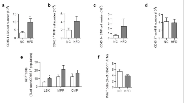 Figure 2. ATM accumulation in the scAT of HFD mice is due to enhanced proliferation of myeloid progenitors at the onset of the disease