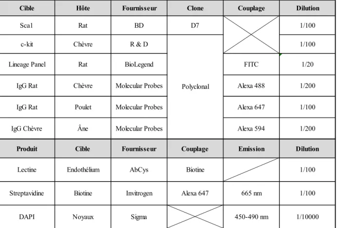 Tableau 5 : Anticorps et produits utilisés pour les expériences d’immuno-fluorescence