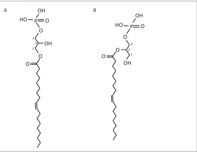 Figure 5: Structure of oleoyl-LPA with the C18:1 fatty acid chain esterified (acyl bond) at the 