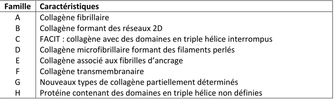 Tableau 2: Famille de collagène : Récapitulatif des différents types de collagène (adapté de   (Prockop and Kivirikko 1995; Kadler, Baldock et al