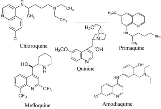 Figure 3. Aminoquinolines: quinine and related compounds  b. Antifolate drugs 
