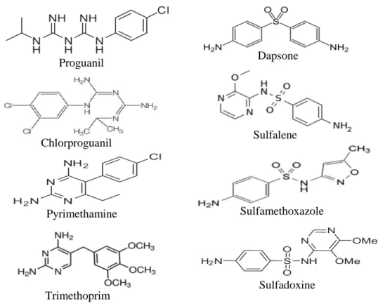 Figure 4. Antifolate drugs 
