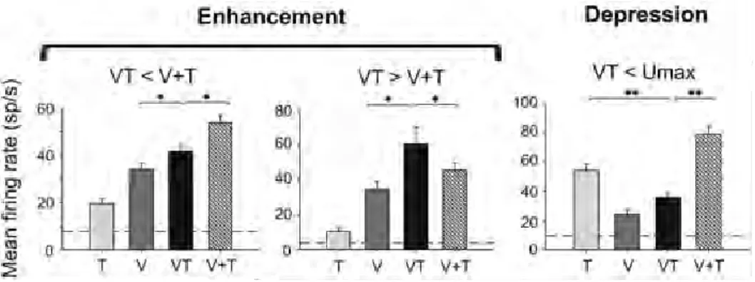 Figure 1.6 Exemples de différents types de réponses multisensorielles visuo-tactiles dans VIP (Avillac et al