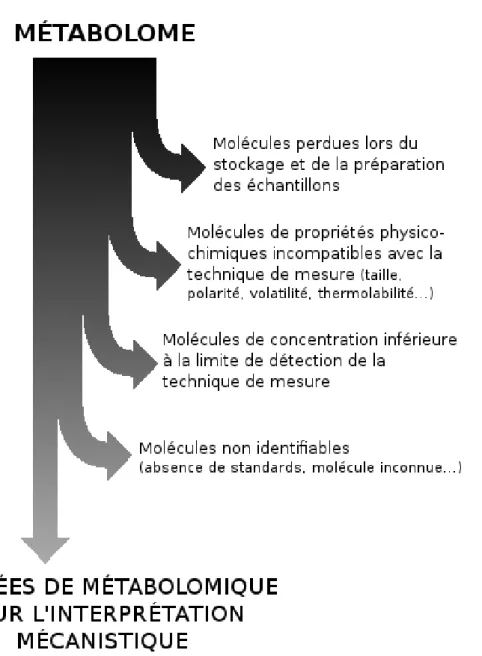 Figure 1.2 – Différence entre le métabolome réel et les données exploitables pour l’interprétation mécanistique