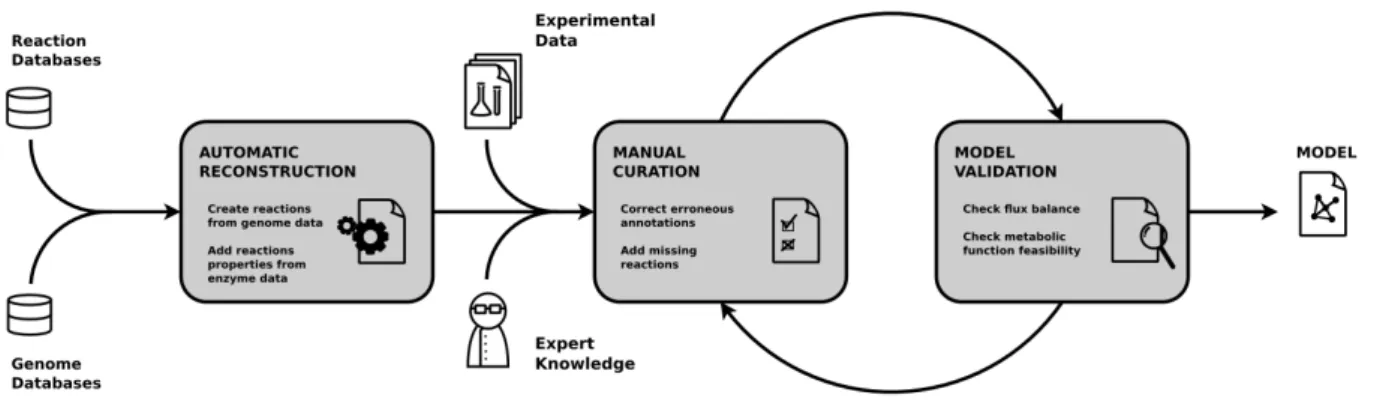 Figure 2.1 – Processus de reconstruction de réseaux métaboliques