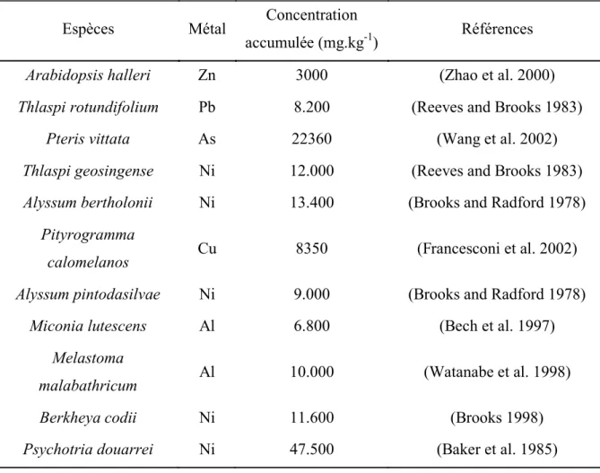 Tableau 3. Exemples de plantes hyperaccumulatrices et des niveaux de concentrations de  métaux accumulés dans leurs parties aériennes 