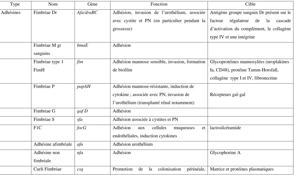 Tableau 1. Facteurs de virulence les plus étudiés, exprimés par les souches d’E.coli uropathogènes