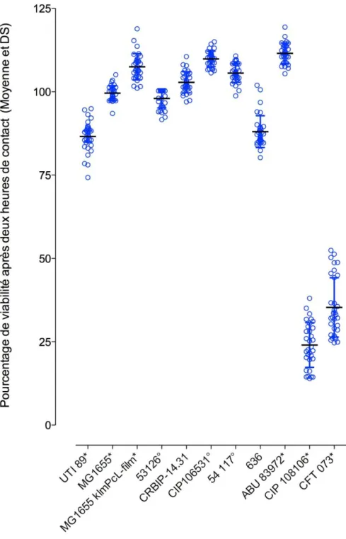 Figure 5. Pourcentages de cellules T24 viables (test XTT) après deux heures d’exposition aux surnageants  de  culture  des  11  souches  d’E.coli,  après  2  heures  de  contact