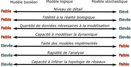 Figure 3. Comparaison schématique des modèles de réseau de régulation (adapté d’après 