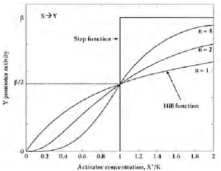 Figure  7.  Activité  d’un  promoteur  décrit  par  une  fonction  de  Hill  (extrait  de  « An 