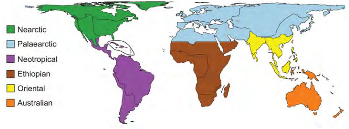 Figure 1.2 – The six zoogeographical regions of the world as defined by Alfred Russel Wallace in his