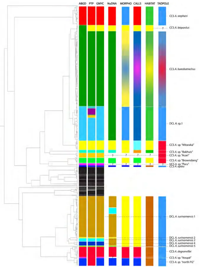 Figure 3.3 – Multiple evidence species delimitation of Anomaloglossus. Results of 16S analyses in ABGD, PTP, and GMYC (from left to right, first three columns) represented on the BEAST tree, summary of all examined evidences (next five), and integrative sp