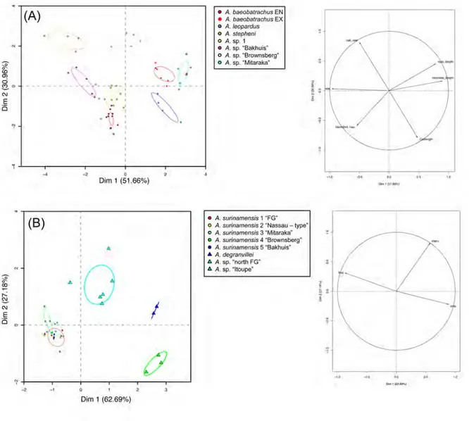 Figure 3.5 – Results of the PCA on raw bioacoustics variables with circle of correlations for (A) A.