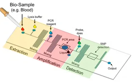 Figure 19 : Un Lab-on-Chip typique pour la détection des SNPs [108]. 