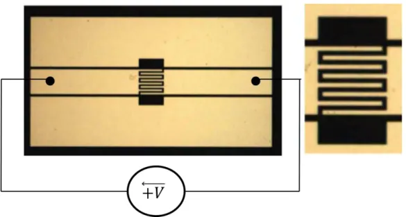 Figure 43: Schéma du microcomposant formé des lignes coplanaires avec un zoom sur les électrodes interdigitées