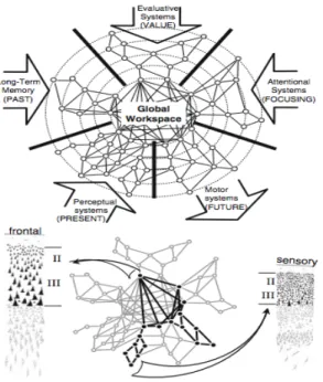 Figure  2. The  Global  Neuronal  Workspace  model  (GNW)  proposes  that  associative  perceptual,  motor, 
