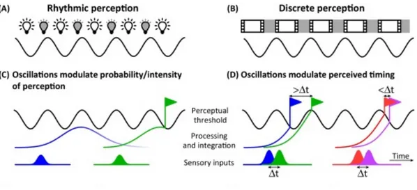 Figure  4.  This  figure  shows  examples  of  both  rhythmic  and  discrete  perception