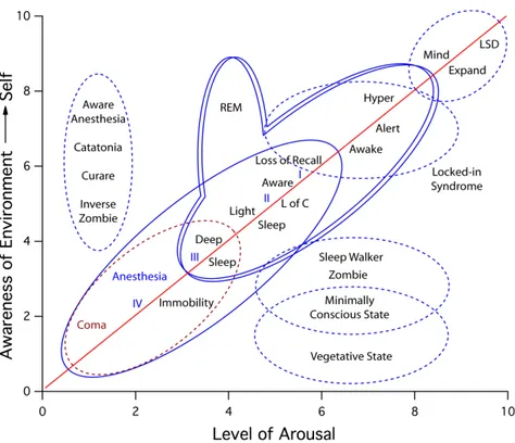 Figure  5.  This  figure  illustrates  of  the  two  main  features  defining  conscious  states:  arousal  (i.e.,  the 