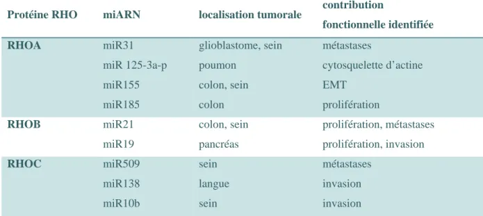 Tableau 3 : Tableau récapitulatif des miARN identifiés dans la régulation de l’expression des  GTPases RHO (adapté de Zheng et al 110 )