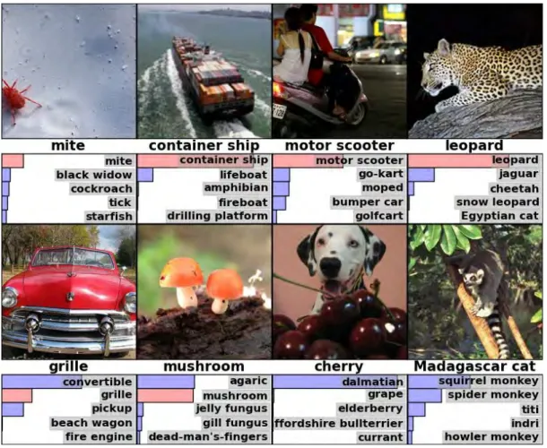 Figure 1.7: Results obtained by the convolutional neural network classifying test images  post training