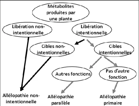 Figure 2 : Les trois différentes catégories écologiques de l’allélopathie.  D’après Sinkkonen (2006)