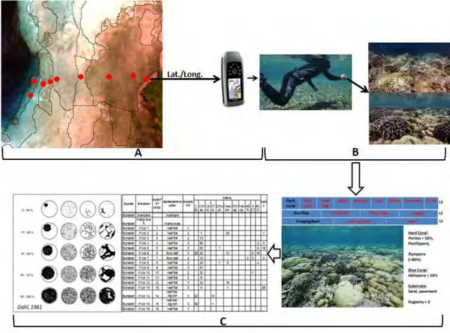 Figure 5 : Flow chart for a field approach to characterize habitats in Bunaken island 