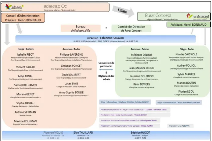 Figure 1 : Organigramme de l’Adasea.d’Oc et de Rural Concept  Source : Adasea.d’Oc, Rural Concept 