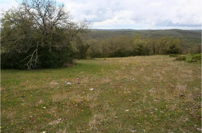 Figure 9 : Photographie d’une pelouse sèche dans le Lot  Source : Adasea.d’Oc 