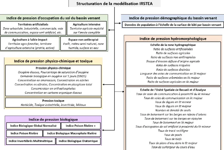 Figure 9 : Schématisation de la structure de la modélisation IRSTEA