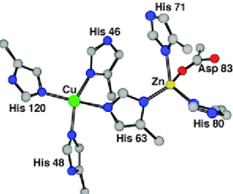 Figure 16: Le Zn est enfoui, tandis que le Cu émerge de 5Ǻ 2  (Shimazaki, Takani, and Yamauchi 2009)