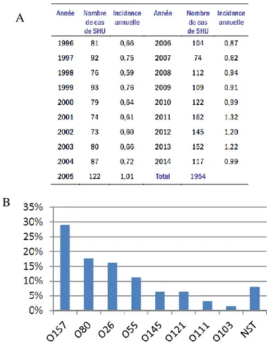 Figure 6. Nombre de cas de SHU de 1996 à 2014 et incidence annuelle pour 100 000 enfants  &lt;15 ans en France (A) et les sérotypes les plus impliqués en 2014 (B)