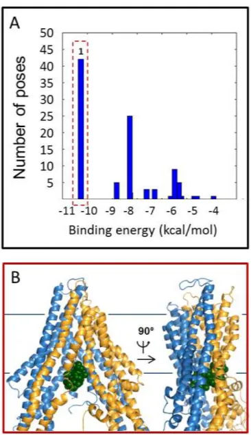 Figure  1.  Valinomycin  binding  to  Cel-Pgp-1.  A.  Energy  clustering.  B.  Binding  site  of  the 