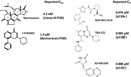 Figure  15 :  Structures  d’inhibiteurs  pharmacologiques  des  PI3K  et  valeurs  d’IC 50   qui  leur  sont 