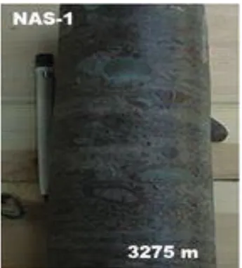 Fig III.2 : grès moyen à fin de sondage NAS-1. (Rapport interne Sonatrach) 