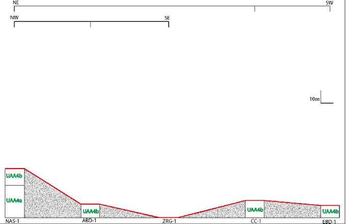 Fig III 5 : profile de l’extension latérale de facies grés moyen a fin dans les sondage NAS- NAS-1, ADB-NAS-1, ZRG-NAS-1, CC-NAS-1, EBD-1