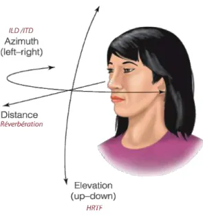 Figure 2.9 – Perception du son en 3D. La localisation de l’azimuth (plan horizontal) nécessite les informations d’ILD et d’ITD tandis que pour apprécier l’élévation d’une source, les indices provenant du HRTF sont nécessaires