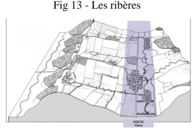 Fig 13 - Les ribères 