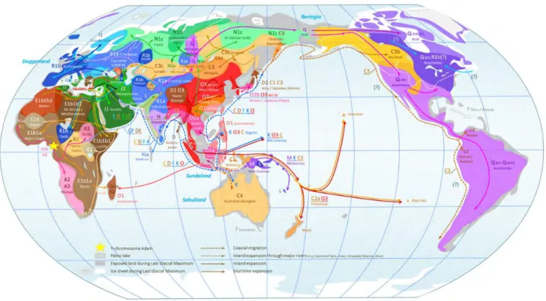 Figure 27: World map of Y chromosome haplogroups shows dominant haplogroups in pre-colonial 