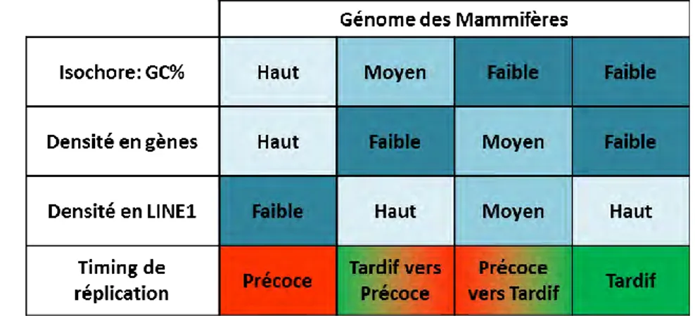 Figure 9 : Corrélation entre timing de réplication et caractéristiques des séquences nucléotidiques