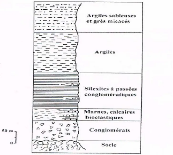 Figure I-06: colonne stratigraphique de l’Oligo-Miocène-Kabyle (In Lounis 2005).